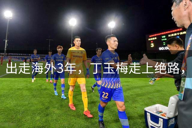 出走海外3年，丁玉梅走上绝路，万没想到许家印给她留了张底牌？